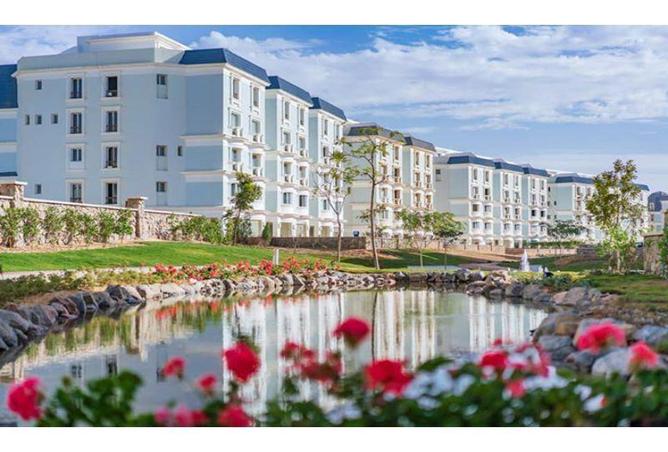 8325396 - Property Image 3