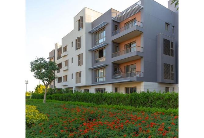 8492375 - Property Image 3