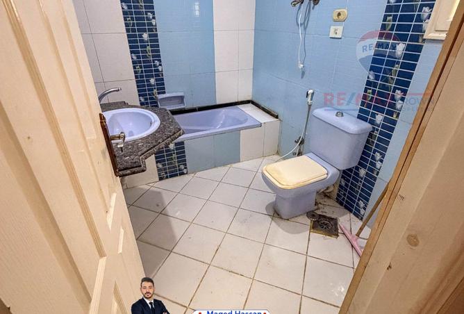 8233723 - Property Image 3