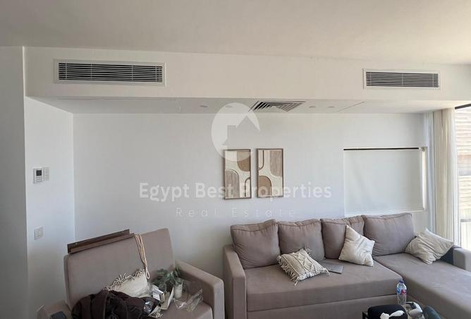 7972183 - Property Image 3