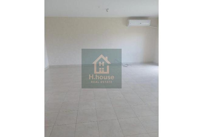 8125429 - Property Image 3