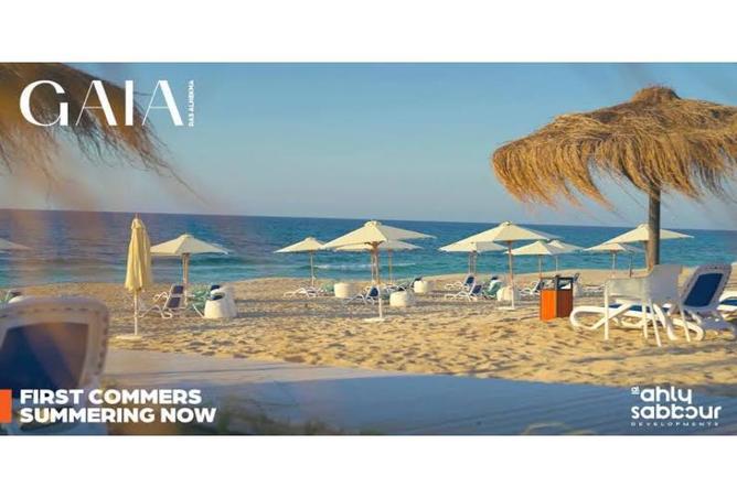 8335092 - Property Image 3