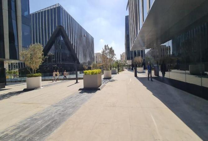 8113345 - Property Image 3