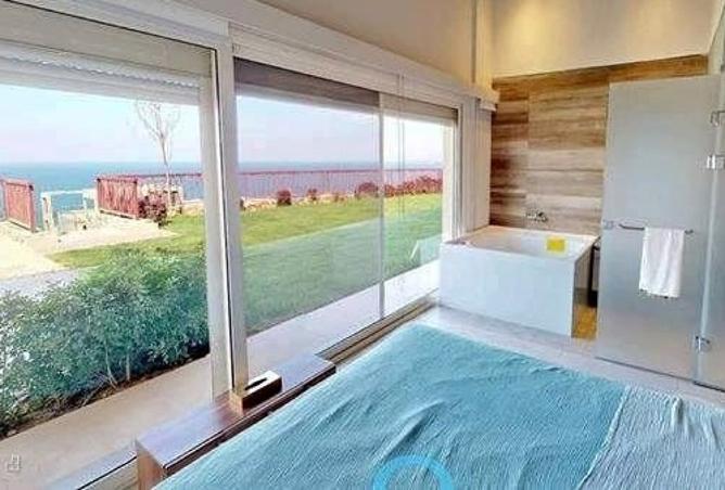 8203081 - Property Image 3