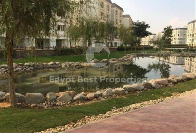 7946798 - Property Image 3
