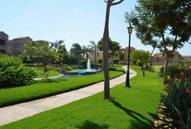 8472117 - صورة العقار 3