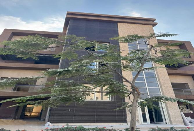 8354274 - صورة العقار 3