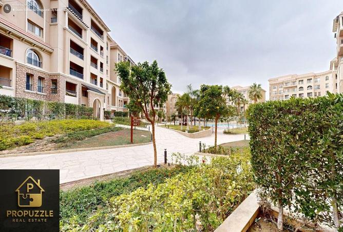 7976907 - Property Image 3