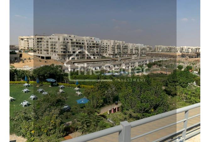 8511401 - Property Image 2