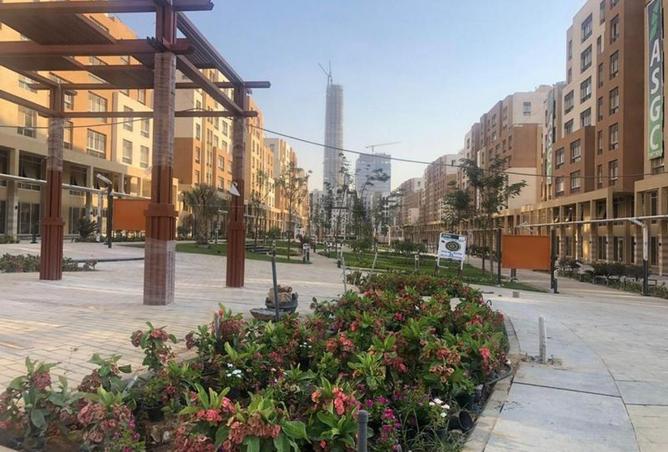 8083624 - الصورة الرئيسية للعقار