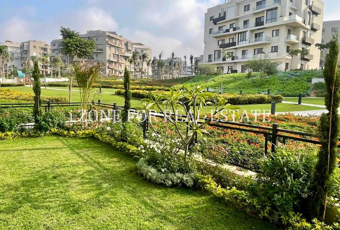 8213833 - Property Image 2