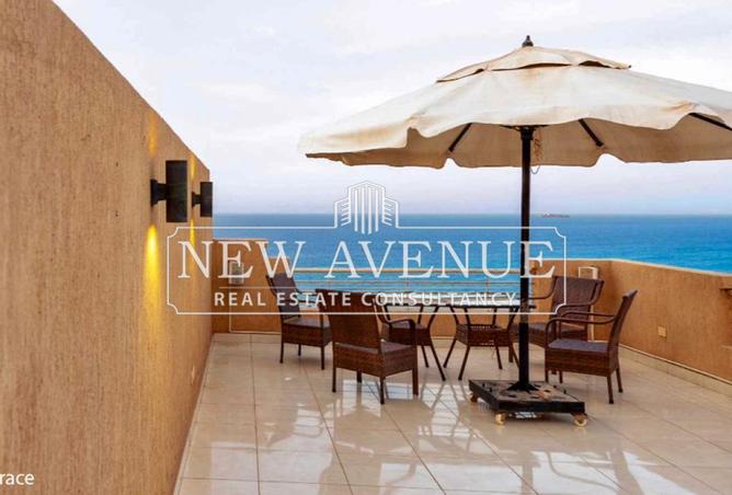 8195530 - صورة العقار 3