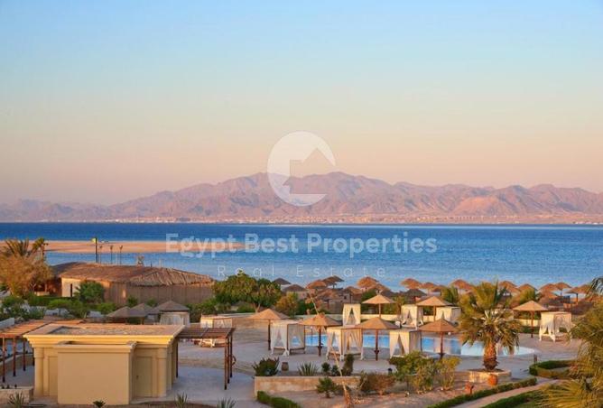 7968123 - صورة العقار 3