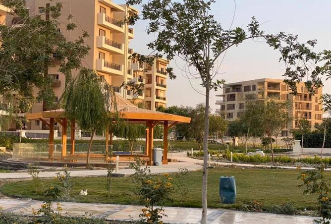 7988224 - Property Image 3