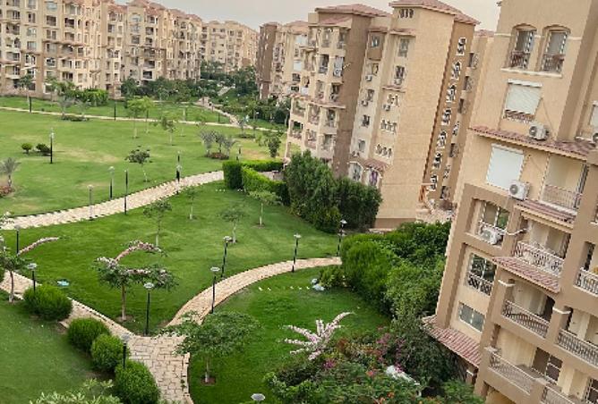 8127442 - Property Image 3