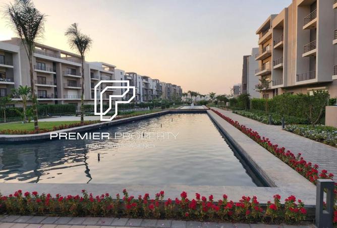 8420001 - Property Image 3