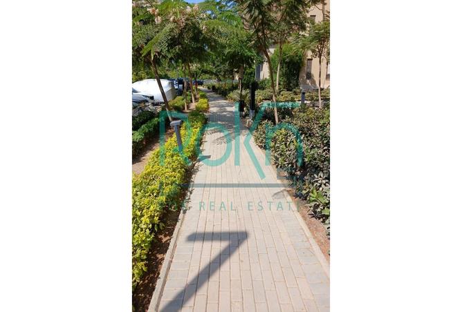 7994557 - Property Image 3