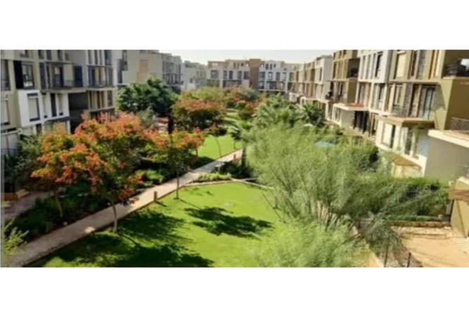 8064895 - Property Image 3