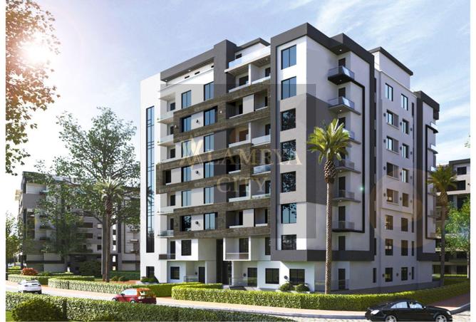 8179021 - Property Image 3