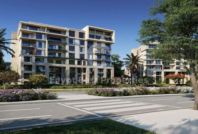 8078086 - Property Image 3