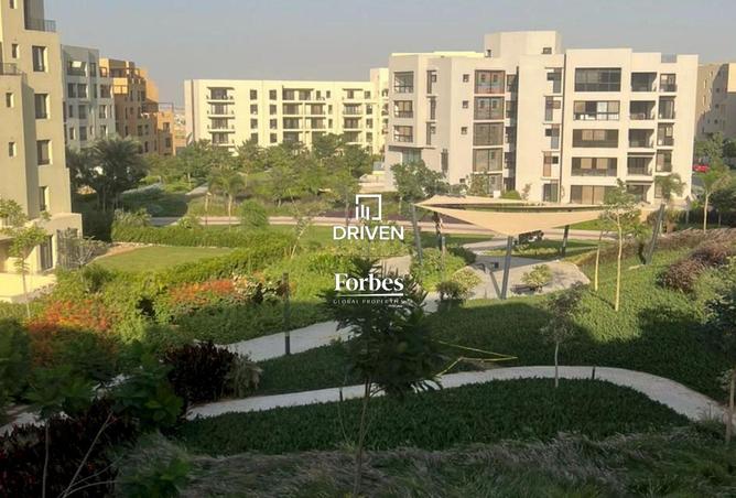 8321599 - صورة العقار 2