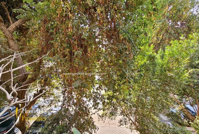 8238828 - الصورة الرئيسية للعقار