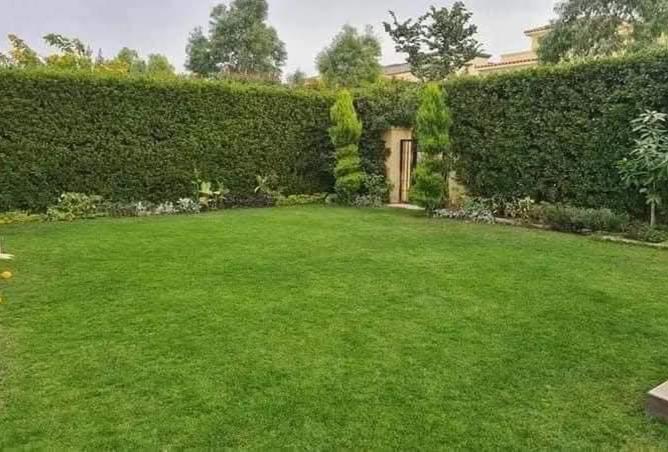 8381542 - صورة العقار 3