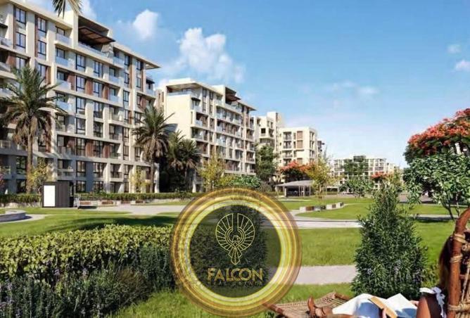 8257883 - Property Image 3