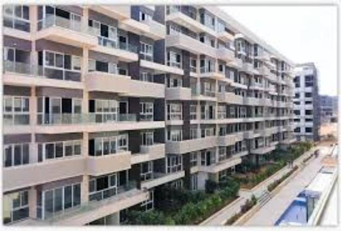 8083911 - Property Image 3
