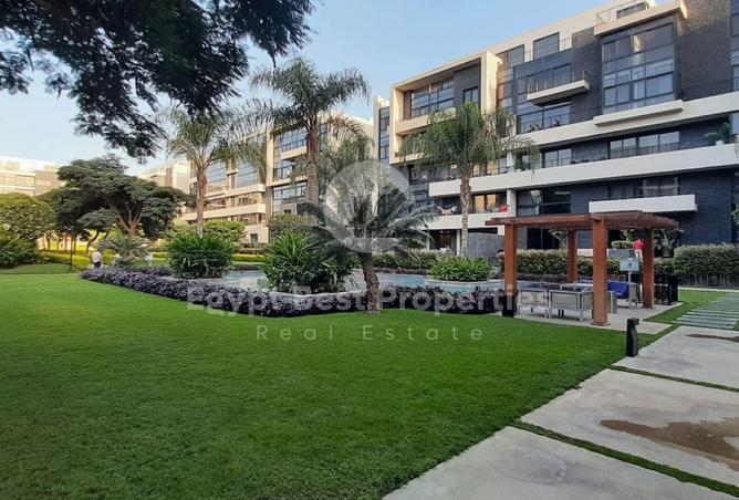 8203887 - Property Image 3