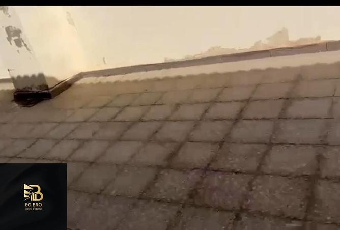 8331974 - Property Image 3