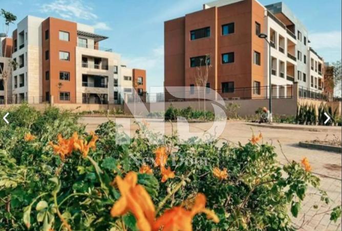 7999133 - صورة العقار 2