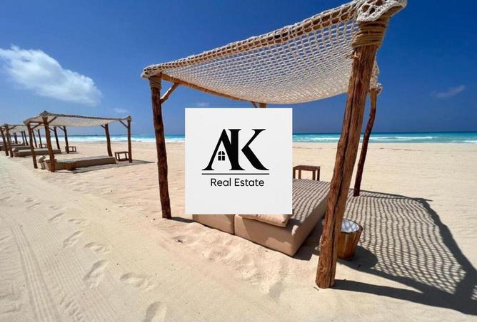 8427669 - Property Image 2