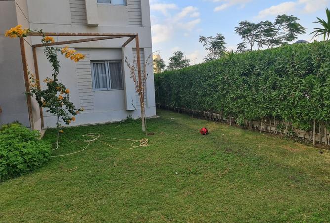 8098981 - Property Image 3