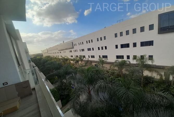 7987308 - Property Image 2