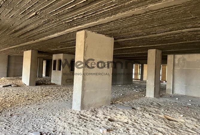 8149264 - Property Image 3