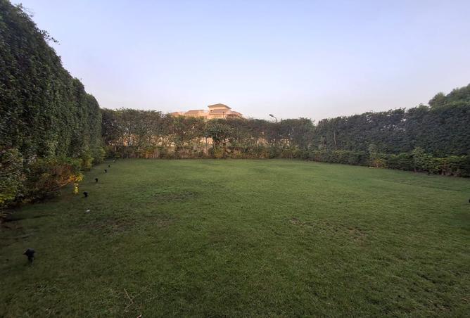 7985943 - الصورة الرئيسية للعقار