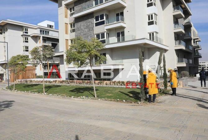 8110846 - Property Image 3