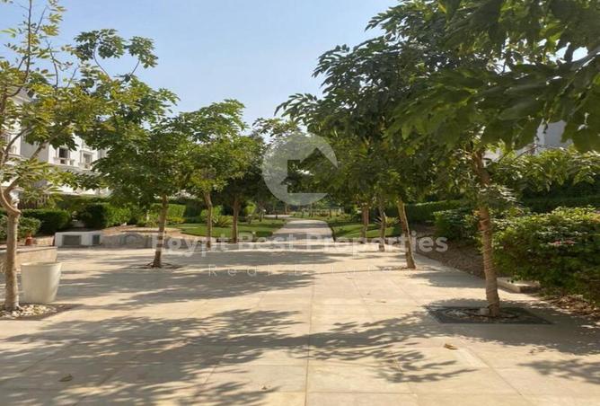 8197502 - صورة العقار 3