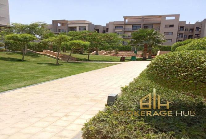 7975635 - Property Image 3