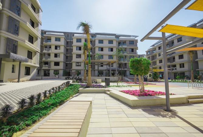 8006347 - Property Image 3