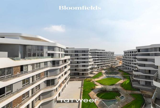 7993379 - Property Image 2