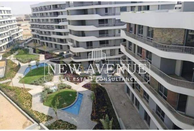 7996316 - Property Image 3