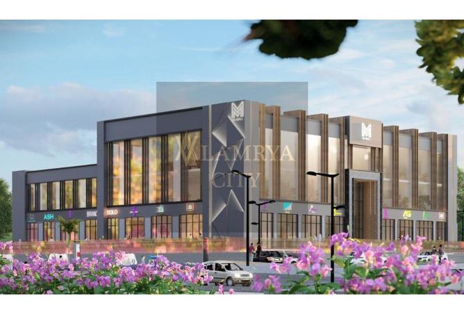 8359074 - Property Image 3