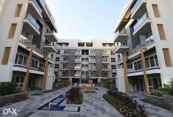 8182498 - Property Image 3