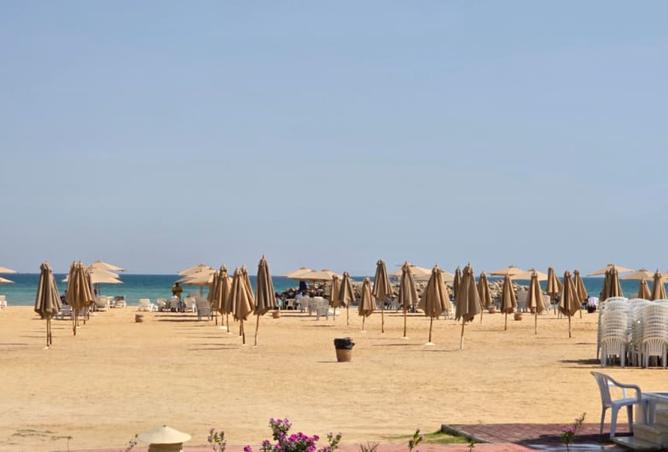 8027235 - صورة العقار 3