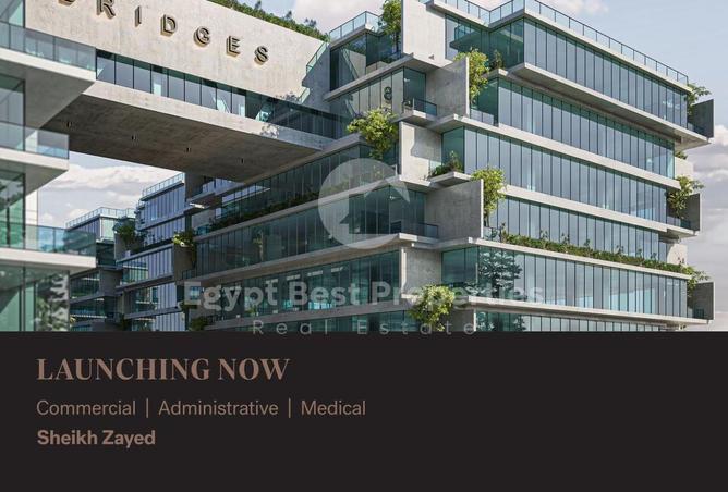 8196809 - Property Image 2