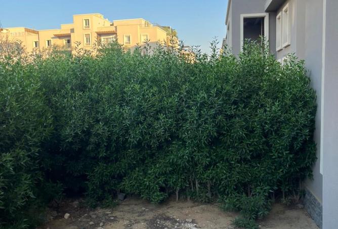 7885902 - صورة العقار 2
