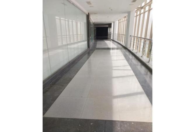 8026395 - صورة العقار 3
