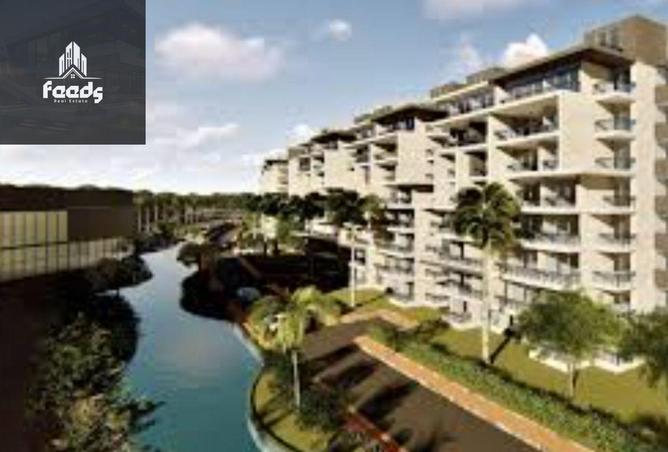 8131698 - Property Image 3